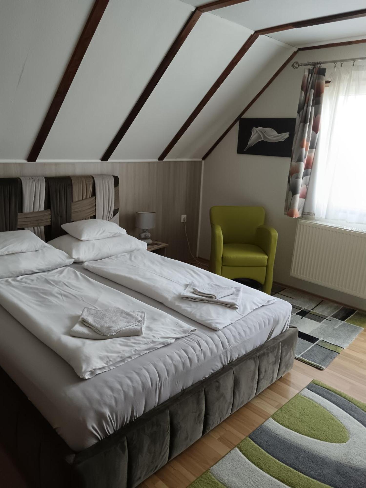 Hotel Patricia Panzio à Bük Extérieur photo